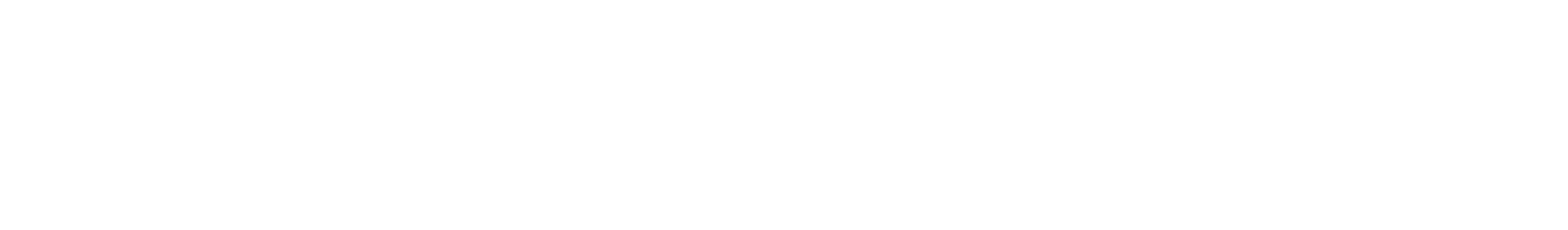 Gründungsvision